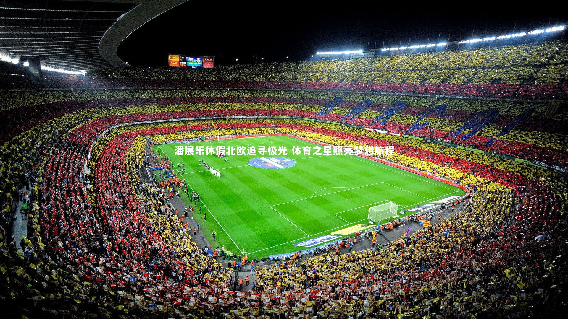 潘展乐休假北欧追寻极光 体育之星照亮梦想旅程